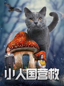 欧洲一二区视频